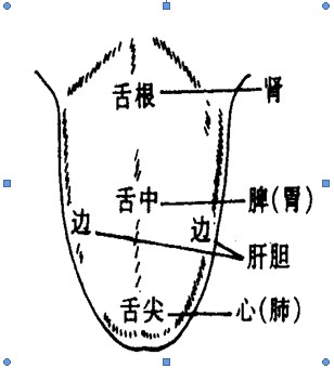 中西医助理医师考试辅导:望舌质(1)