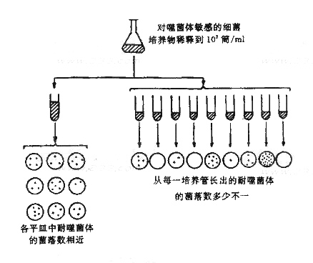 药师考试